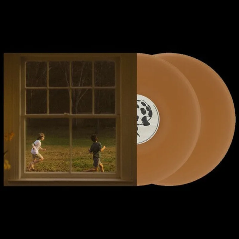 The Great Divide [Explicit Content] (Parental Advisory Explicit Lyrics, Indie Exclusive, Colored Vinyl, Brown)