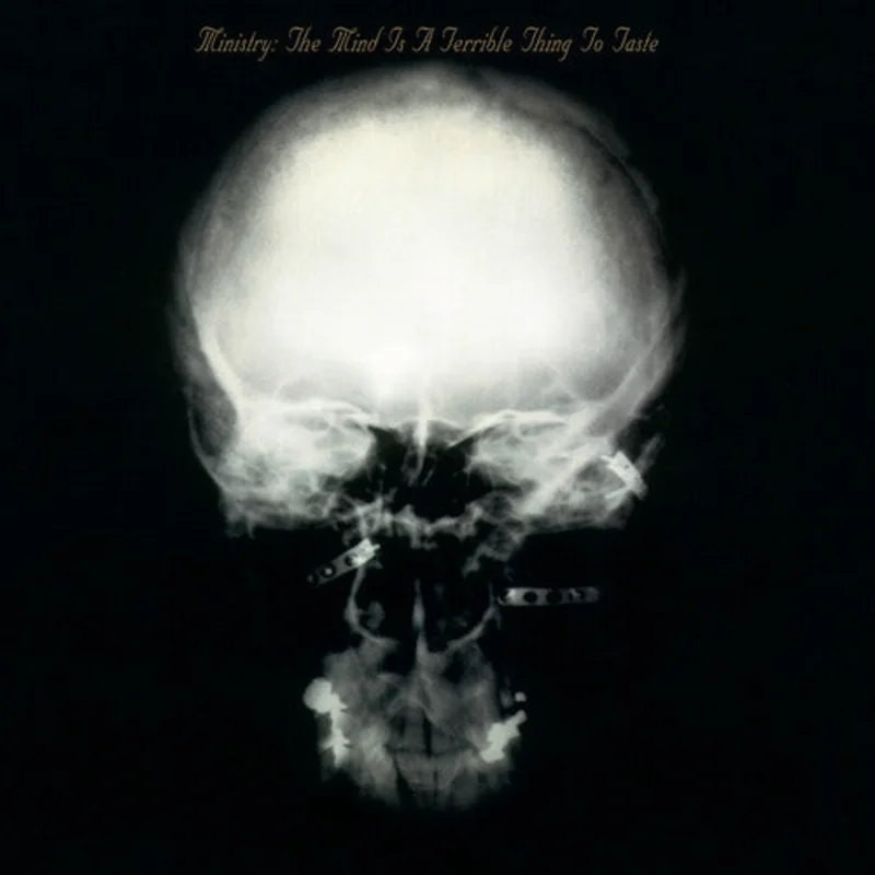 The Mind is a Terrible Thing to Taste (RKTBR25) (180 Gram Vinyl, Brick & Mortar Exclusive, Expanded Version)