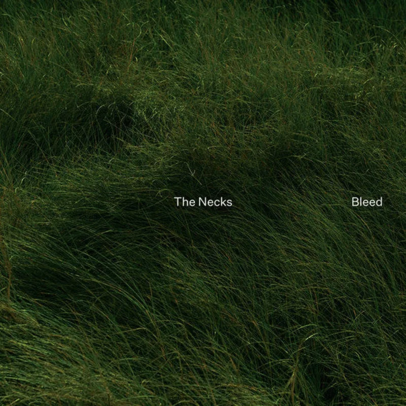 The Necks - Bleed (LP, Album) (Mint (M))