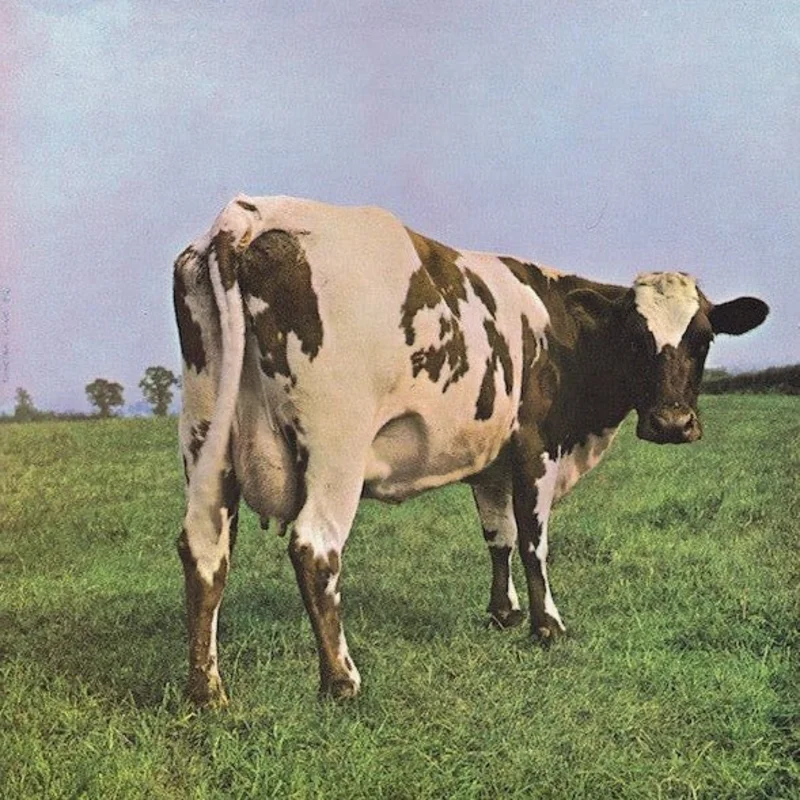 The Pink Floyd* - Atom Heart Mother