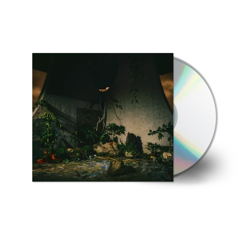 THE PLOT IN YOU THE PLOT IN YOU' CD
