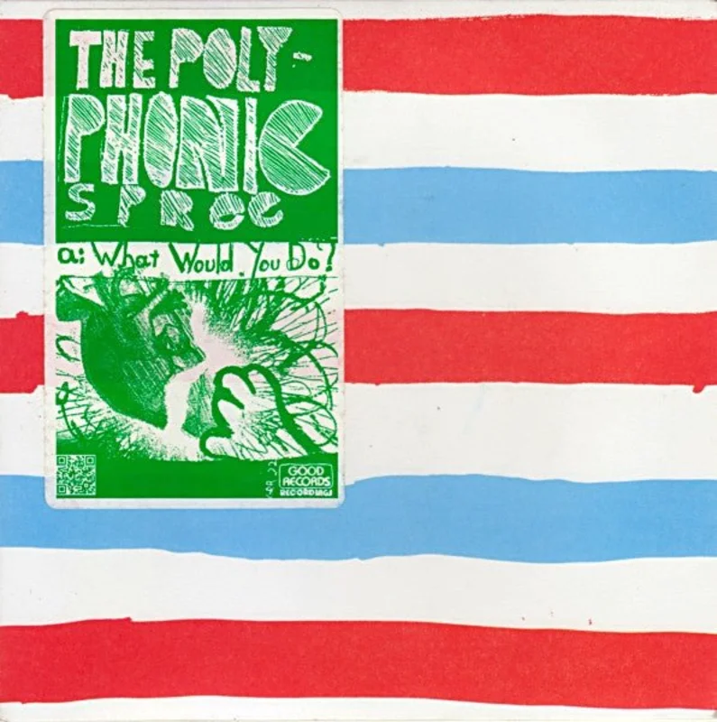 The Polyphonic Spree - What Would You Do?