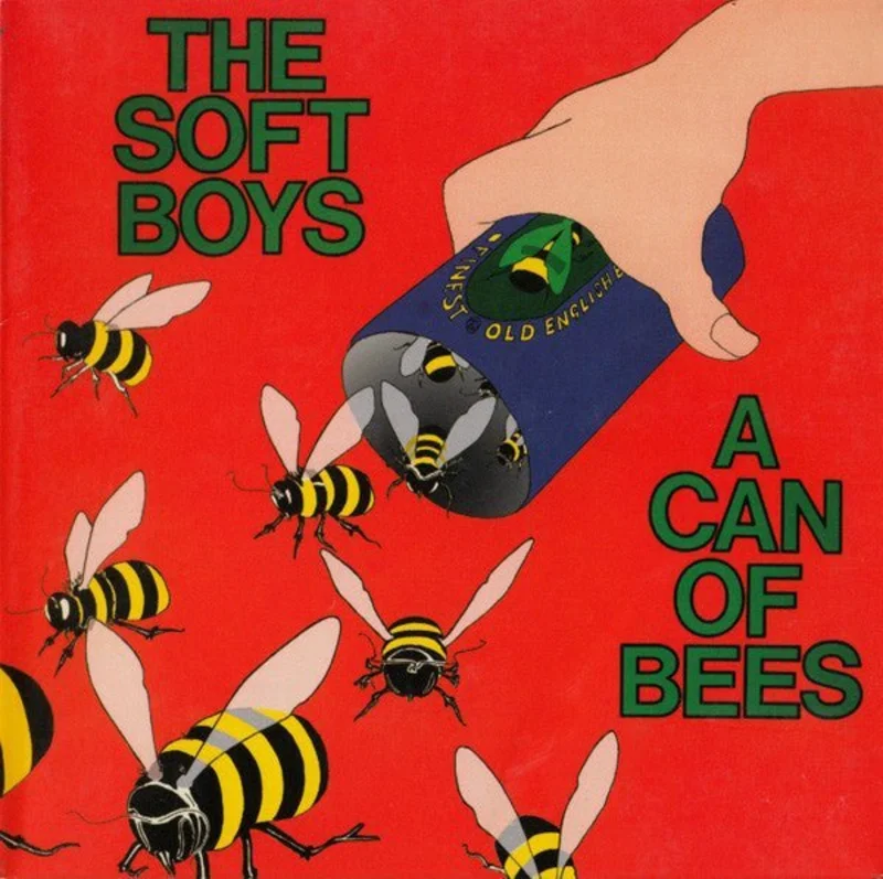 The Soft Boys - A Can Of Bees