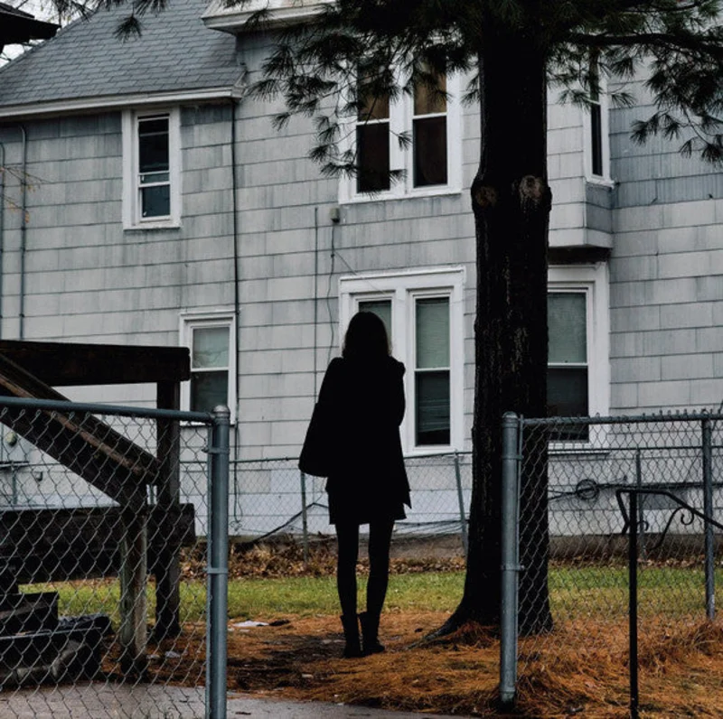The Tallest Man On Earth - Dark Bird Is Home (LP, Album) (Near Mint (NM or M-))