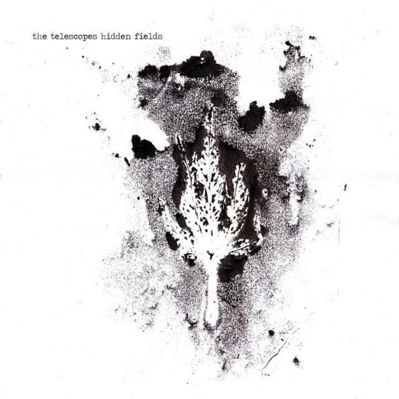 The Telescopes - Hidden Fields