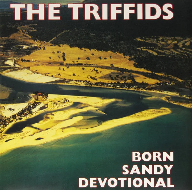 The Triffids - Born Sandy Devotional (LP, Album, RE, RM, 180) (Near Mint (NM or M-))
