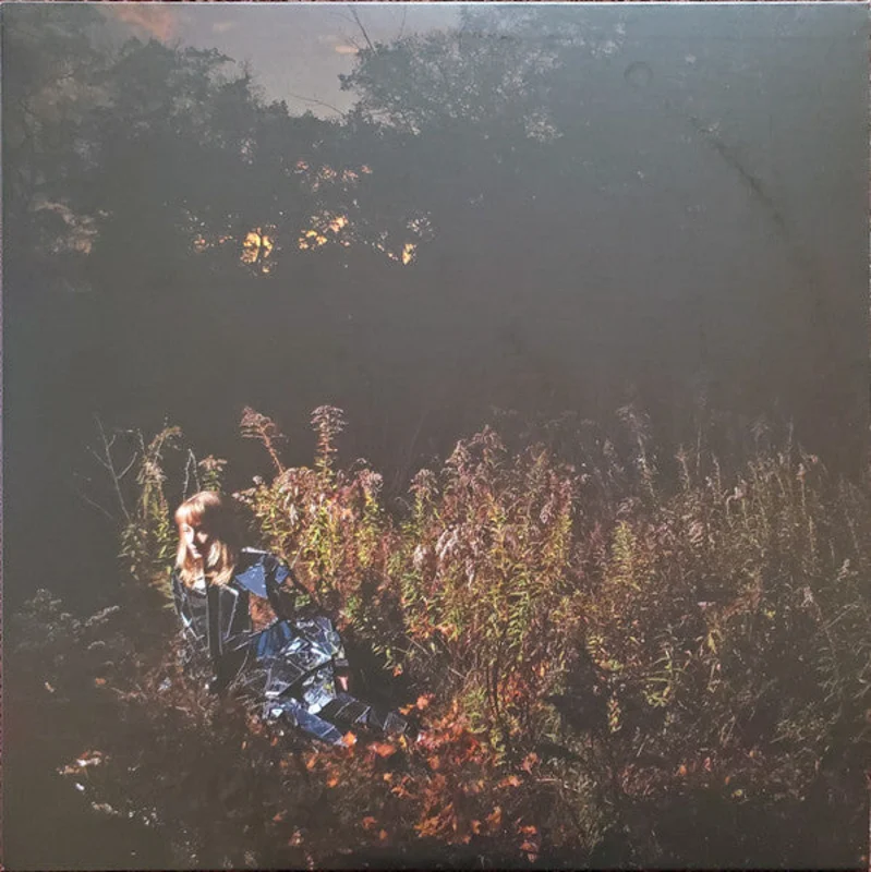 The Weather Station - Ignorance (LP, Album, Sil) (Near Mint (NM or M-))