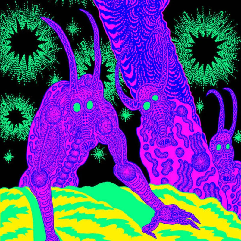 Thee Oh Sees - Abomination Revealed At Last (LP, Album) (Mint (M))