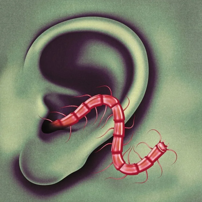 Thee Oh Sees - An Odd Entrances (Newbury Exclusive)