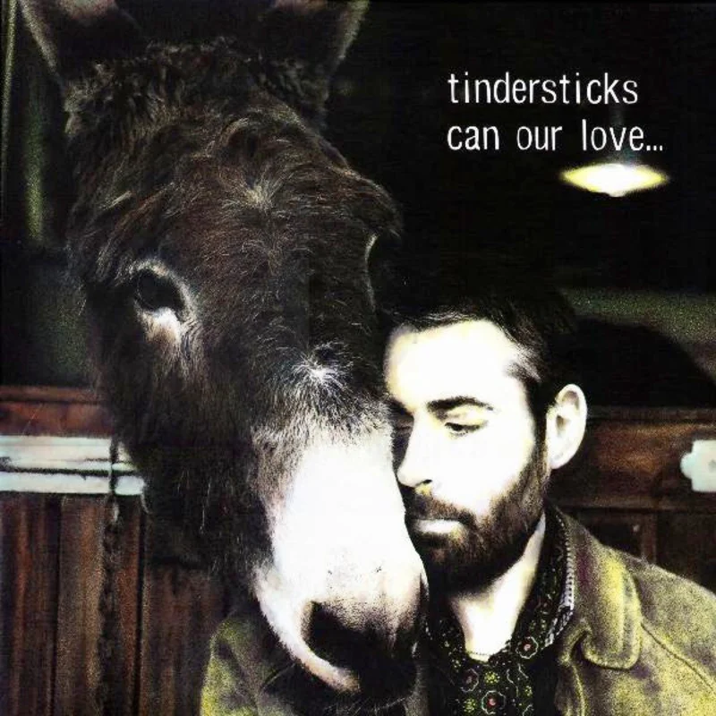 Tindersticks - Can Our Love... (LP, Album) (Near Mint (NM or M-))