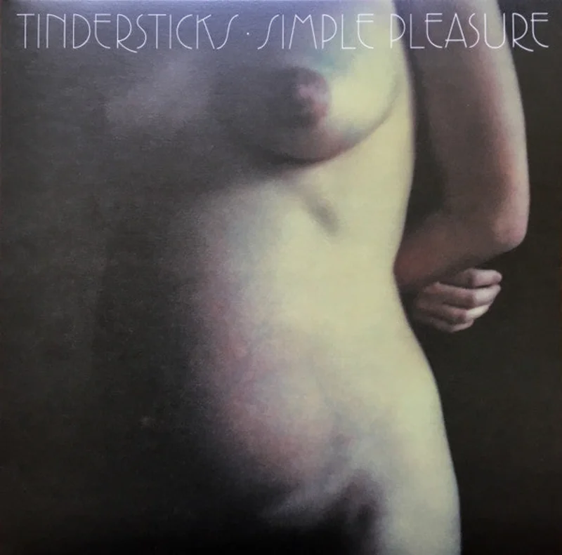 Tindersticks - Simple Pleasure (2xLP, Album, RE, RM, 180) (Near Mint (NM or M-))