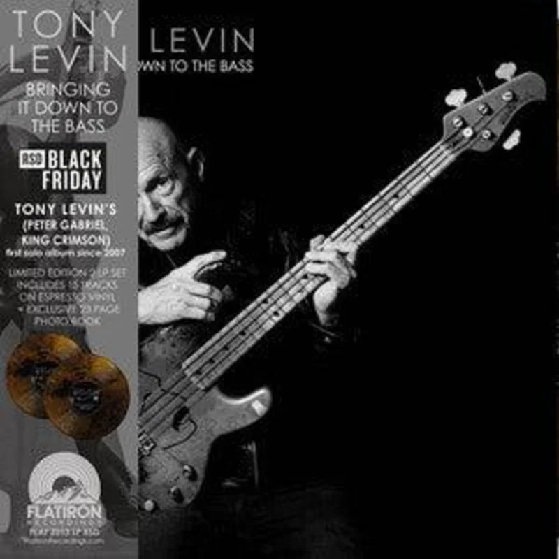 Tony Levin - Bringing It Down