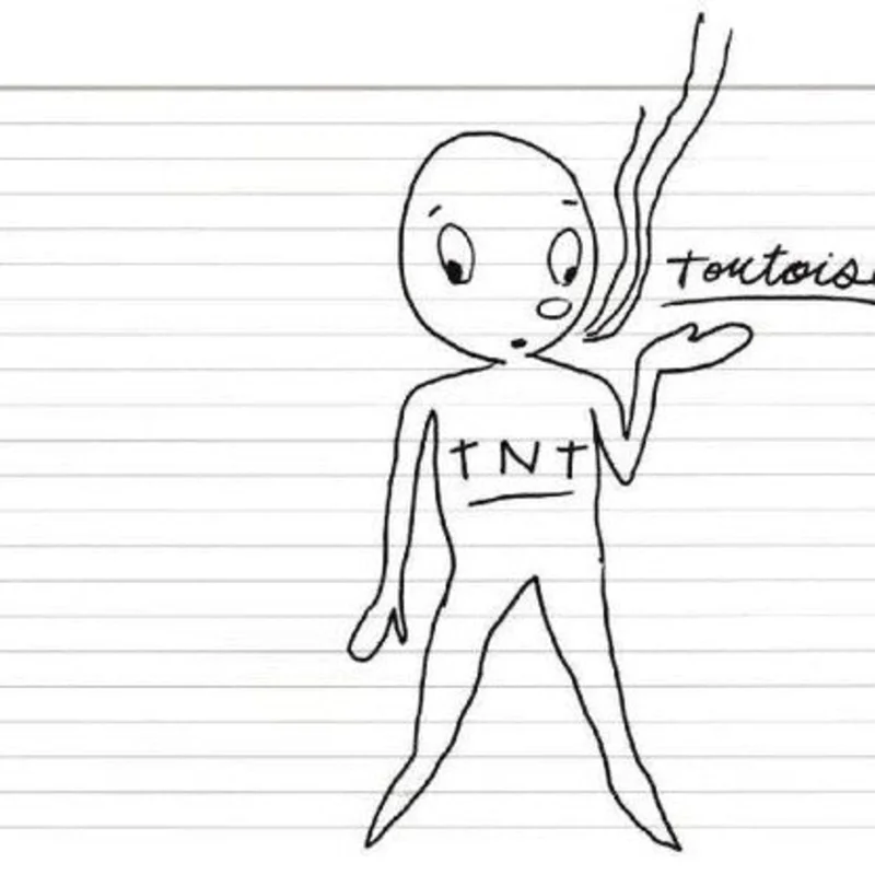 Tortoise - TNT