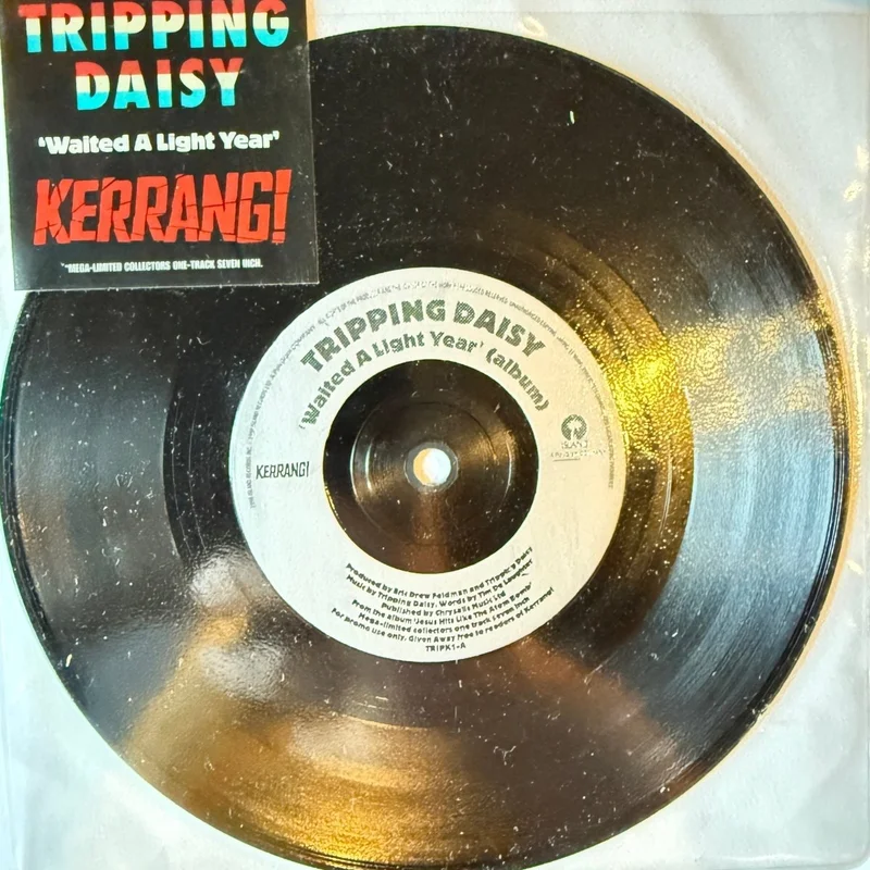 Tripping Daisy - Waited A Light Year