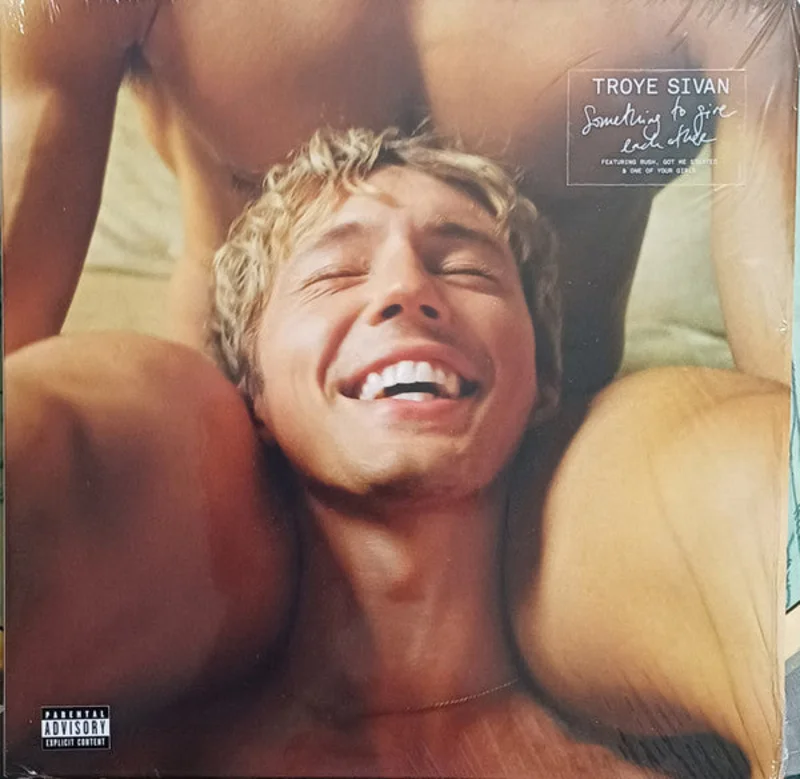 Troye Sivan - Something To Give Each Other  (LP, Album) (Near Mint (NM or M-))