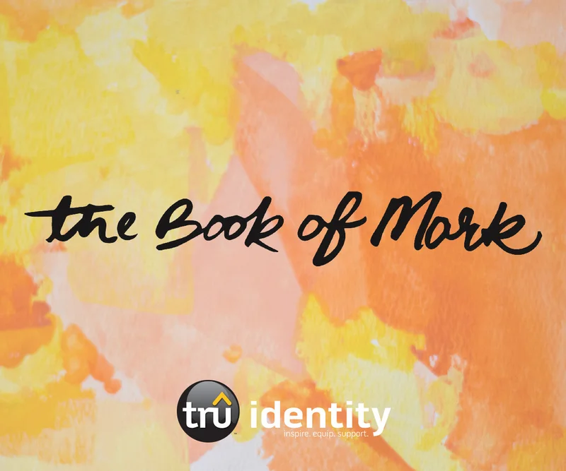 TruIdentity | Grades 7-9Mark