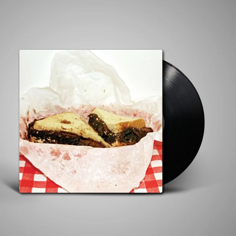 Ty Segall - Fudge Sandwich