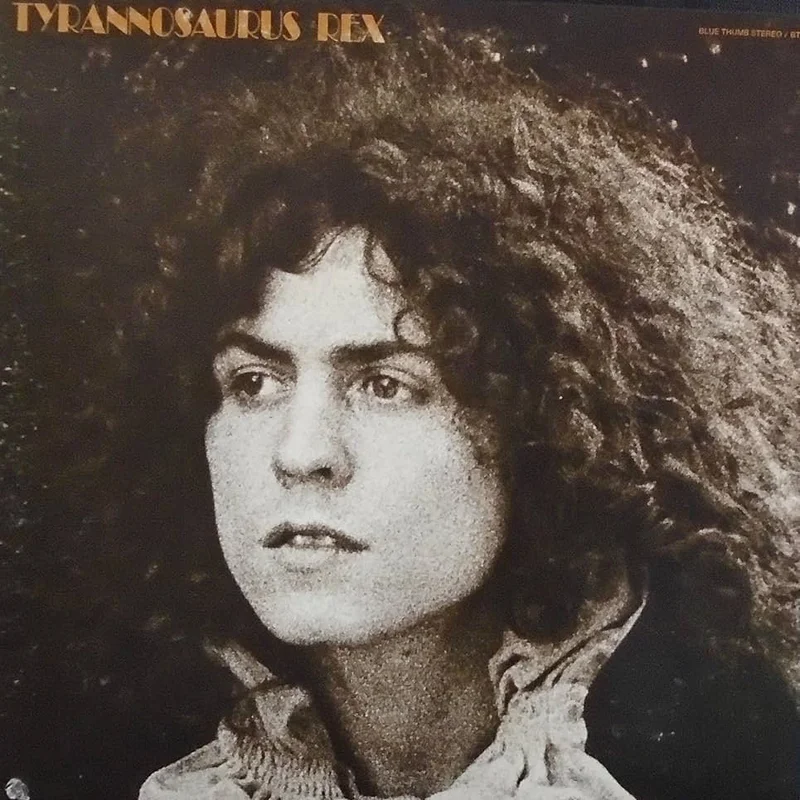 Tyrannosaurus Rex - A Beard Of Stars