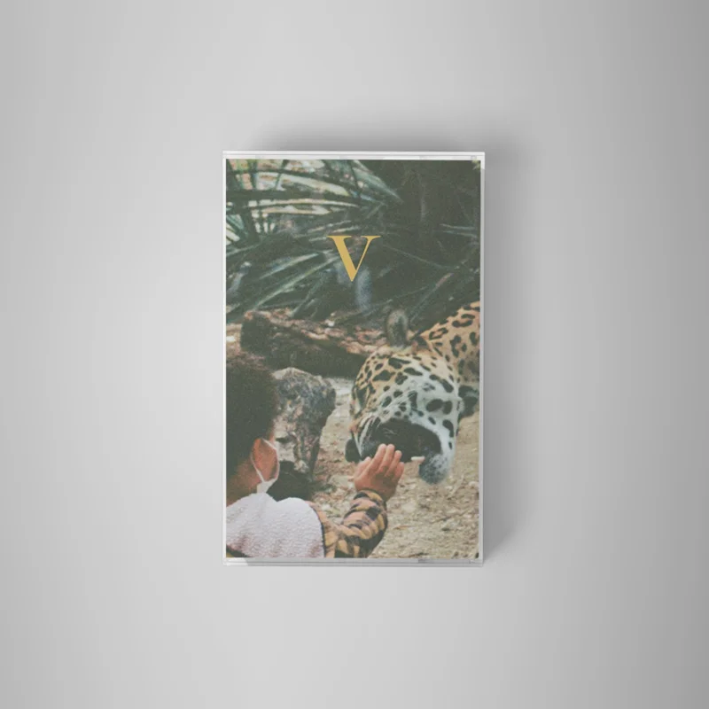 Unknown Mortal Orchestra - V (Cassette)