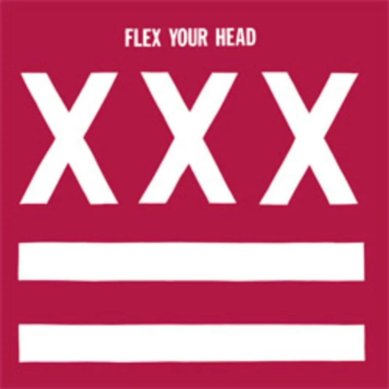 VARIOUS ARTISTS 'FLEX YOUR HEAD' LP (Legendary Dischord Records Comp: Minor Threat, More)