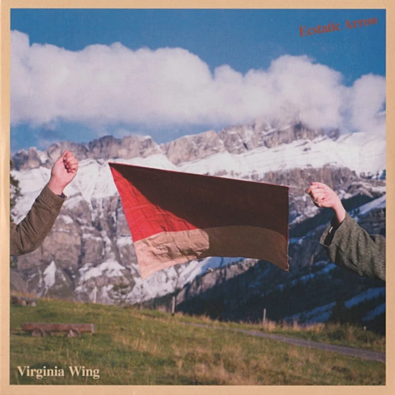 Virginia Wing - Ecstatic Arrow (LP, Album) (Mint (M))