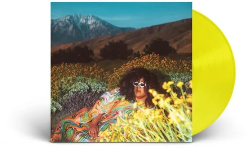 What Now [Explicit Content] (Parental Advisory Explicit Lyrics, Clear Vinyl, Colored Vinyl)