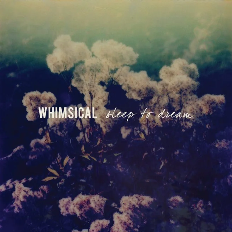 Whimsical - Sleep To Dream