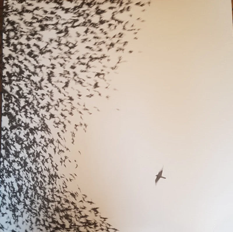 Wilco - Sky Blue Sky (2xLP, Album) (Near Mint (NM or M-))