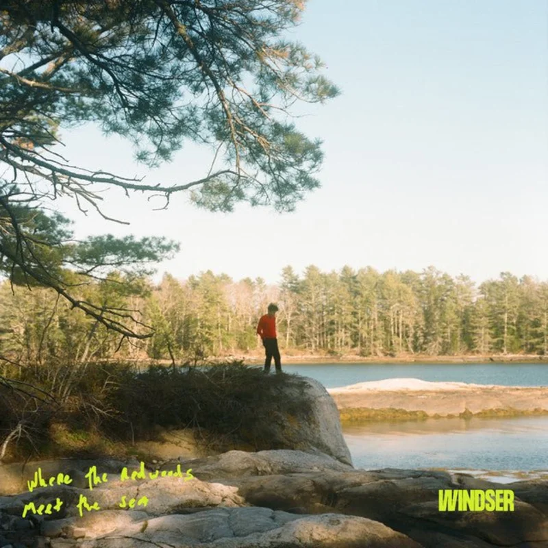 Windser - Where The Redwoods Meet The Sea