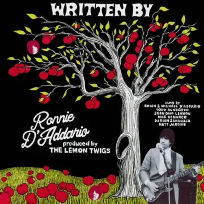 Written By Robbie D'Addario (RSDBF25)
